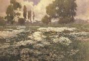 unknow artist Field of Daisies oil